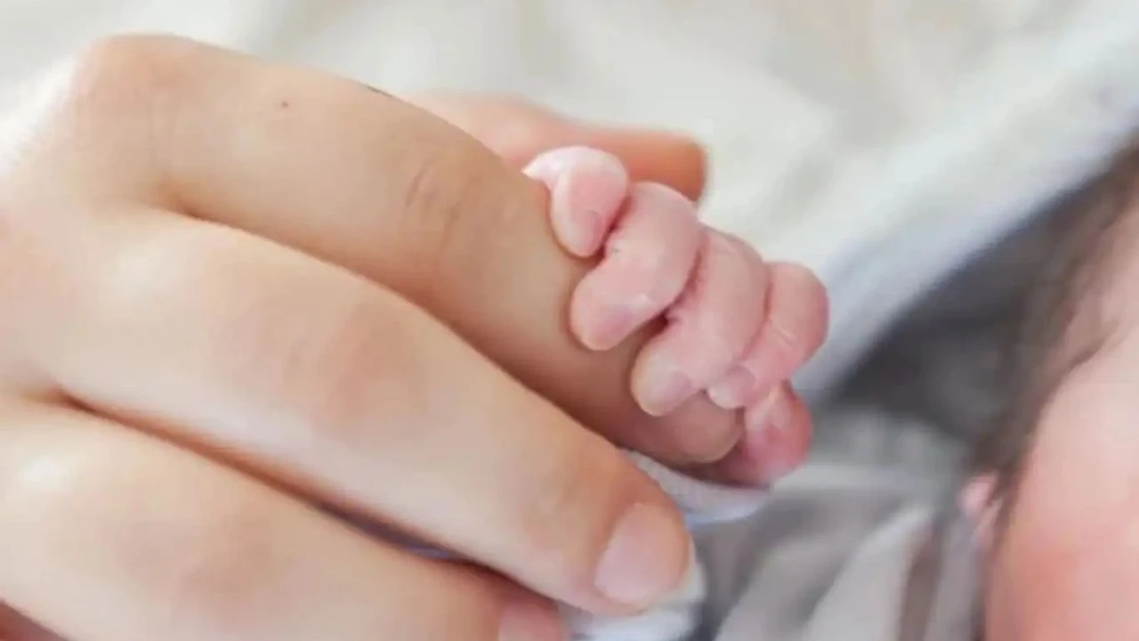 Doğum izni 24 haftaya çıkarılıyor