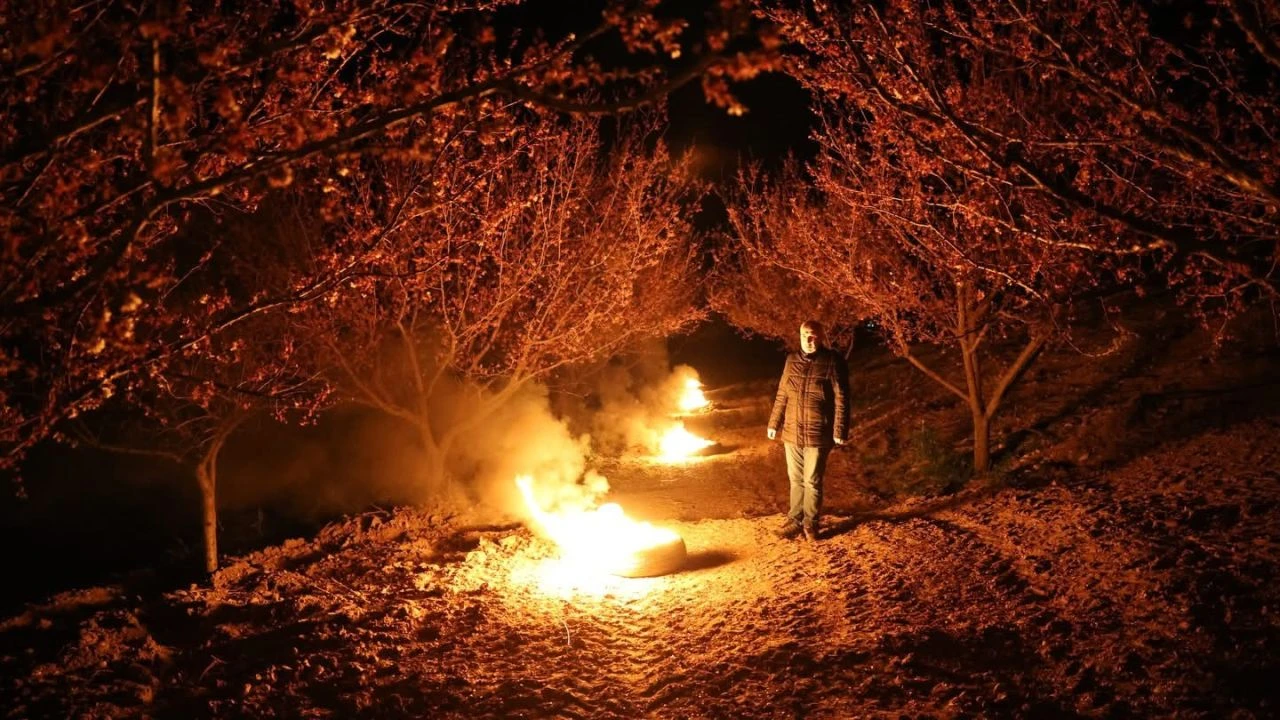 Kayısı Üreticileri Dona Karşı Sabaha Kadar Nöbette