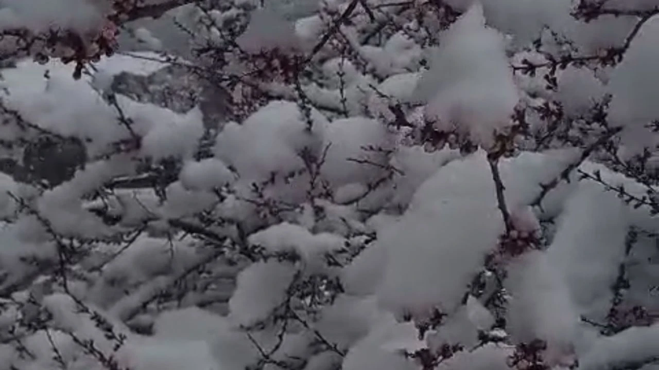 Sürgü’de Çiftçiler Zirai Don Nöbetinde